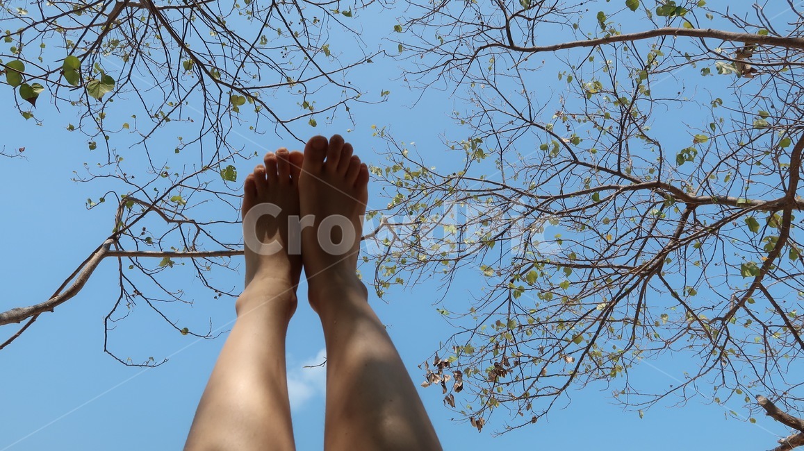 human,발,발가락,감성샷,나무,하늘,누워서,foot