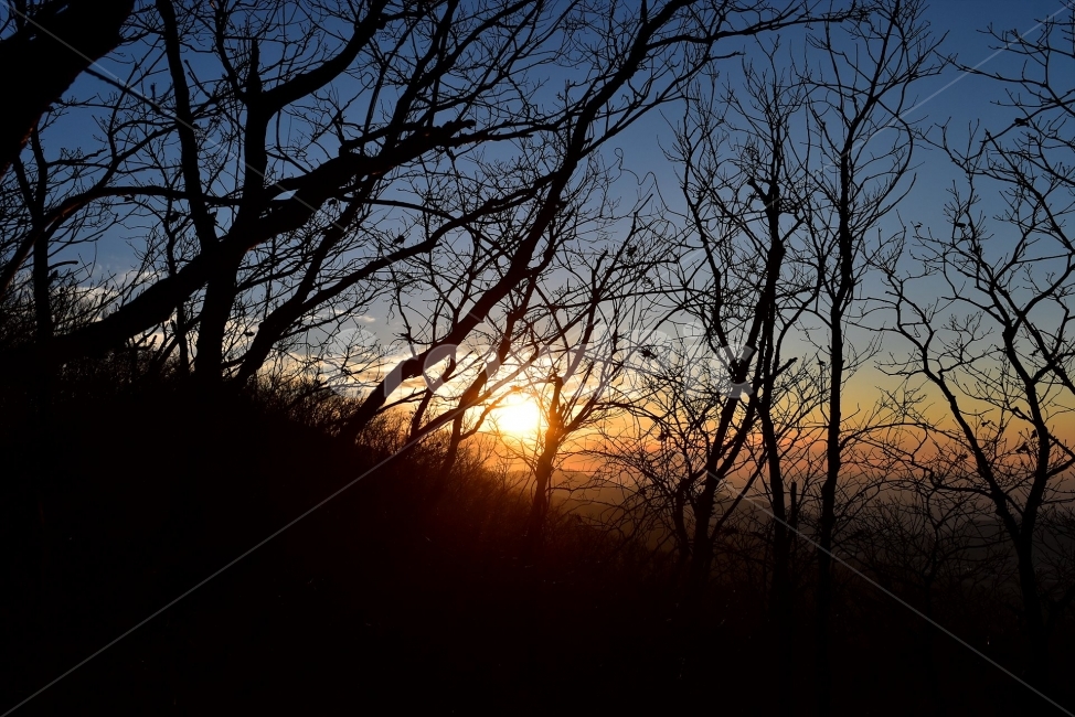 지리산,서북능선,노고단,풍경,비경,명산,국립공원,성삼재,묘봉치,만복대,고리봉,반야봉,천왕봉,정령치,세걸산,세동치,부운치,팔랑치,산행,등산,트레킹,National,Park,철쭉,파란,하늘,바래봉,사진,산그리메,산너울,명선봉,토끼봉,힐링,감성,전망,조망,아름다운,수려한,nature,landscape,저녁,노을,해너미,석양,식물,자연,plants,nature,나무,trees,wood,실루엣,그림자,silhouette,shadow