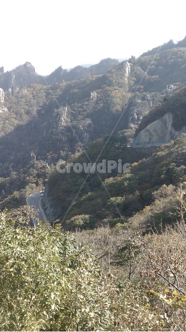 경사,slope,nature,자연,산,mountain,가을산,대괄령