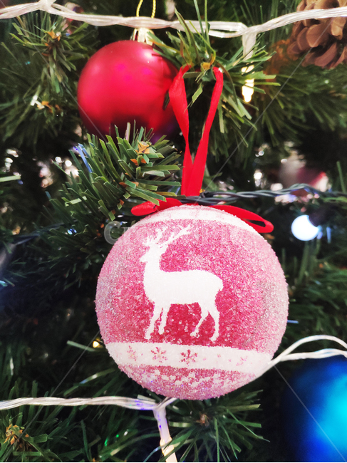 크리스마스,트리,장식,데코,christmas,ornament,빨강색,메리크리스마스,성탄절,merry christmas,사물,물건,오브젝트,thing,object,matter
