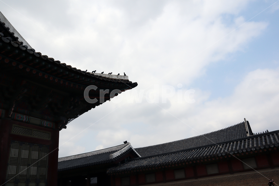 경복궁,gyeongbokgungpalace,궁궐,koreapalace,koreatour,seoultour