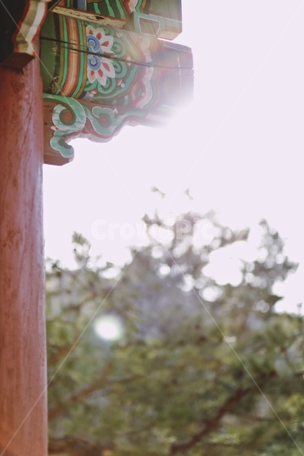 햇빛,궁,한옥,koreanstylehouse,apalace,sunlight,기둥,처마장식,한국전통,한국문화,korean traditional,korean culture,휴식,힐링,rest,relaxation,healing