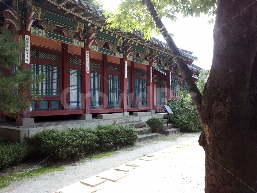 한국,korea,드라마세트장,드라마셋트장,드라마촬영장,조선시대,조선,사극촬영장,사극세트장,사극셋트장,역사,문화,민속촌,한국문화,한국전통,전통문화,한옥,마을,전통마을,동네,시골,country,감성,감성사진,힐링,힐링사진,느낌,컨셉,콘셉,concept,분위기,옛날,과거,한옥마을,마당,정원,건물,건축,옛건물,옛건축,나무,tree,문화재,유적,유적지,snap,스넵사진,스넵,스냅,스냅사진,한국전통,한국문화,korean traditional,korean culture