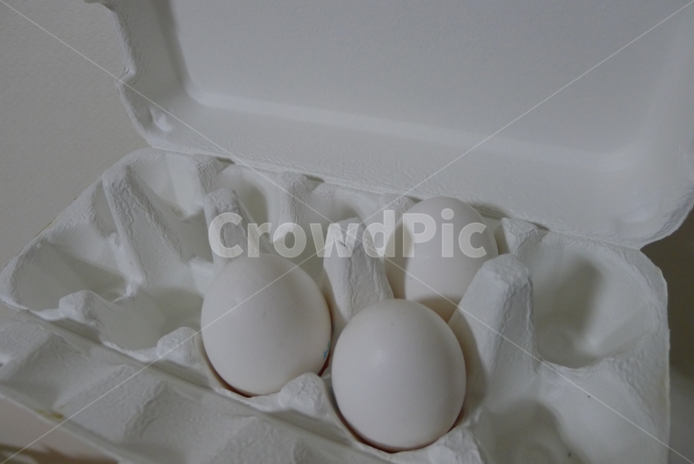 계란,달걀,알,하얀달걀,egg,eggs,하얀계란,음식,식재료,요리,food,cook,meal,dishes,food reserves