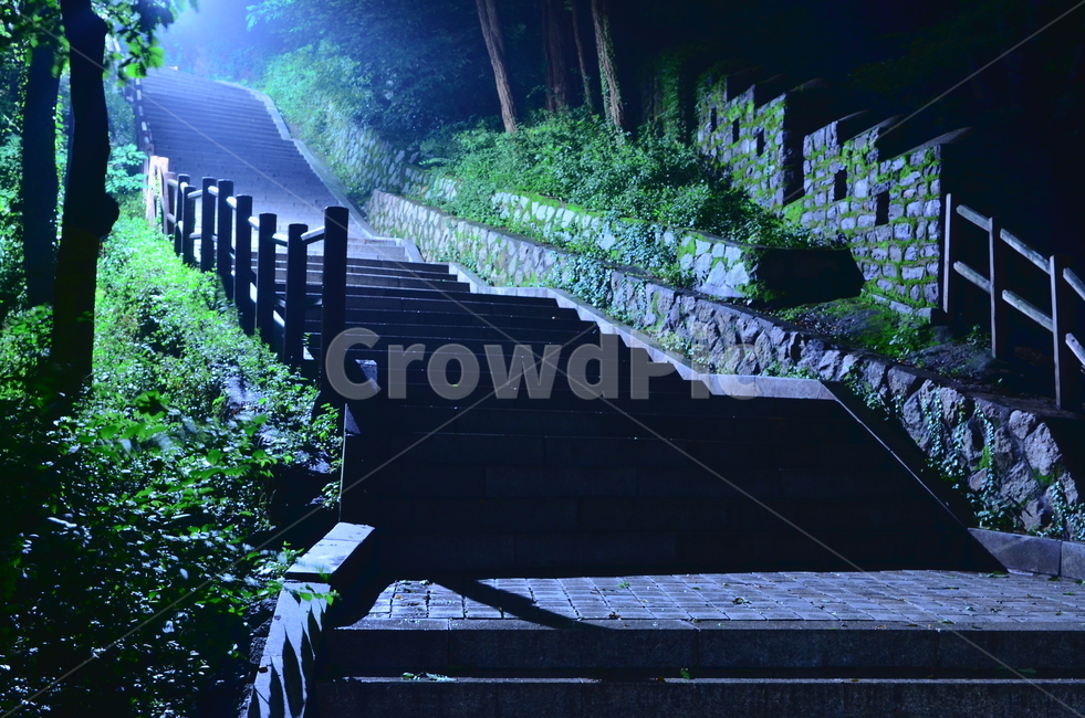 안개공원,계단,오르막,가로등,야간,저녁,밤,새벽,handrail,banister,난간,light,빛,flare,플레어,고독,감정,감성,디자인,필,느낌,분위기,서정,슬픔,우울,그리움,옛생각,회상,기억,추억,색감,칼라,블루톤,시안,디자이너,사보,카다로그웹,홈페이지,배너,팝업,모바일,콘텐츠,마케팅,오브젝트,이미지