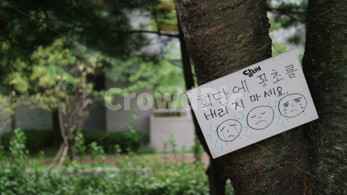 담배꽁초,화단,쓰레기,자연,나무