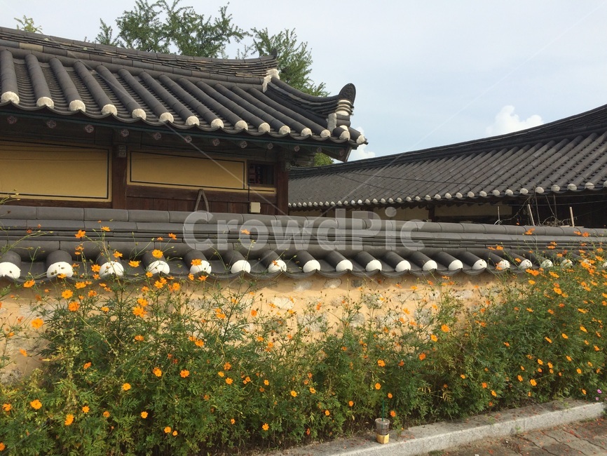 경주,한옥,기와,기와지붕,한옥마을,꽃밭,담벼락