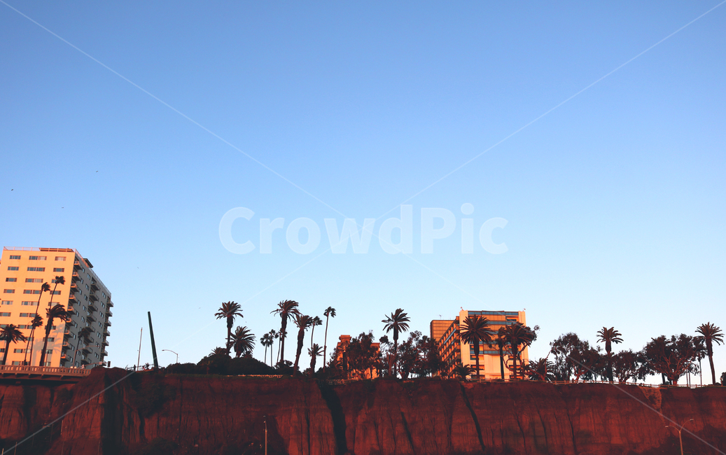 santamonica,califonia,풍경,야자수,맑은,도시,풍경,city,landscape