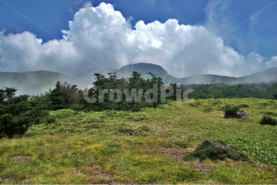 한라산,제주도,영산,어리목코스,만세동산,자연,구름,운무,백록담