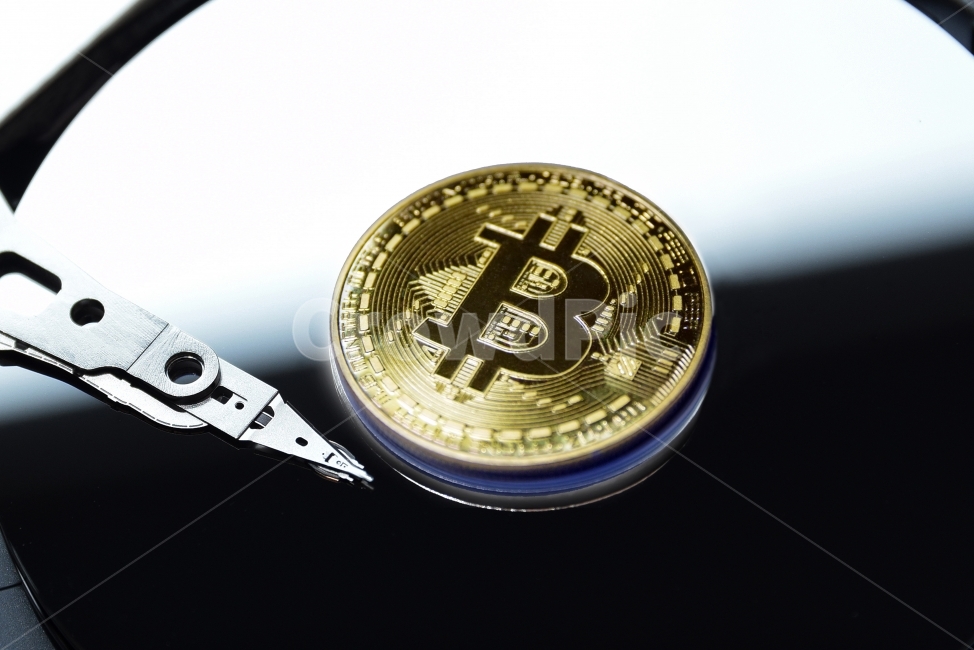 bigdata,data,isolated,future currency,virtual currency,View,electronic money,price rise,hacking,price surge,hacker,Bithumb,roller coaster,price,exchange,big data,bitcoin,sudden drop,coin,jump