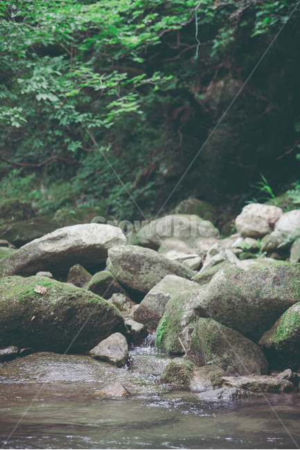 계곡,물,돌,바위,이끼,나무,초록,green,여름,여름,계절,summer,season,자연,풍경,nature,landscape,rock,록,rubble,파편