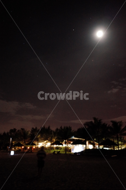 달빛,달,야경,야자수,밤,야경,밤,풍경,nightscape,night,landscape,nature,자연,outdoors,옥외