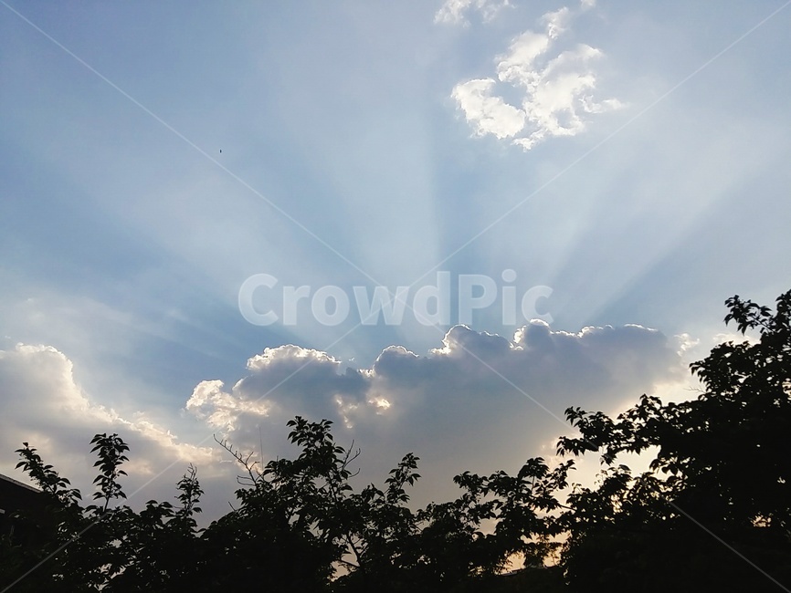 햇빛,sunlight,하늘,sky,구름