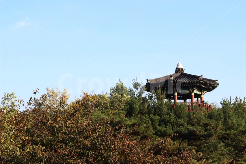 산,단풍,풍경,자연,전경,알록달록,나무,식물,풀,하늘,가을,야외,나들이,산책,정자,기와,기와지붕,쉼터,자연,풍경,nature,landscape,한국전통,한국문화,korean traditional,korean culture