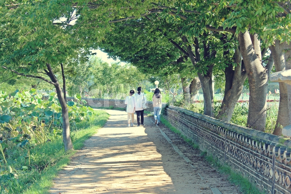 garden,정원,outdoors,옥외,arbour,정자,human,인간,person,사람,가족,자연,풍경,nature,landscape
