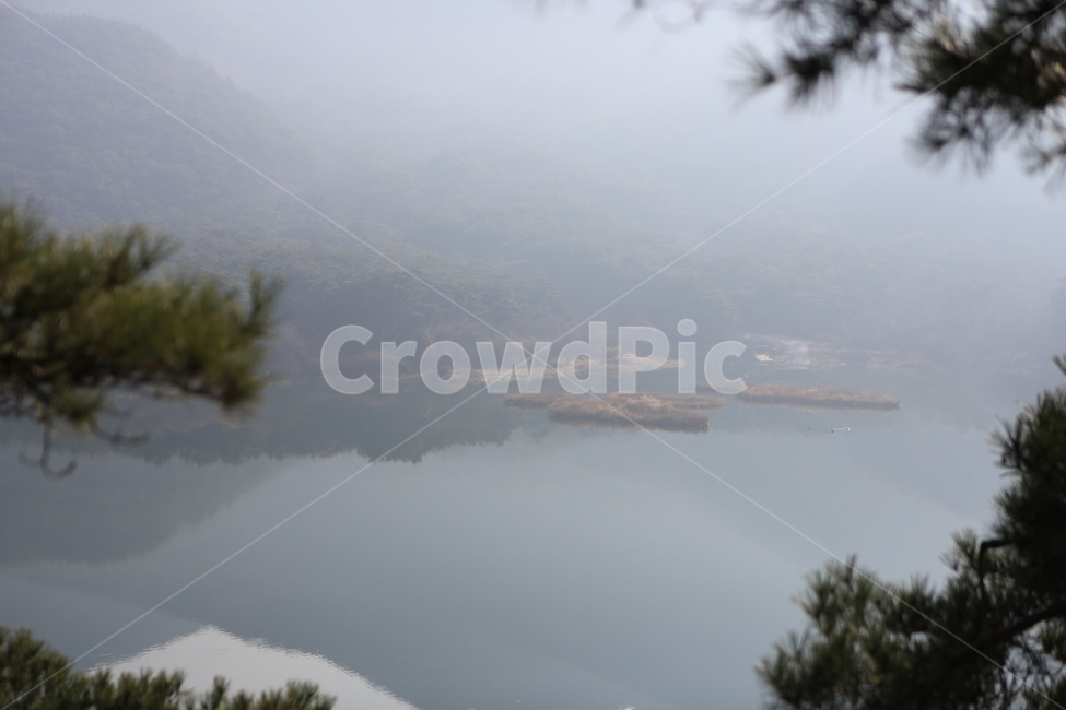 호수,소나무,괴산호,풍경,산막이옛길,산책로,둘레길,산행,자연,풍경,nature,landscape,weather,날씨,outdoors,옥외