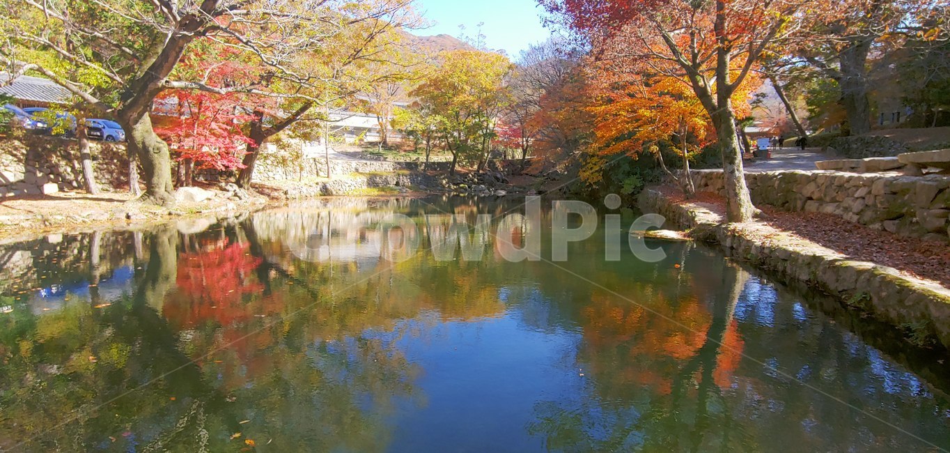 절,한산사,단풍,호수,plant,식물,tree,나무,water,물,자연,nature,outdoors,옥외