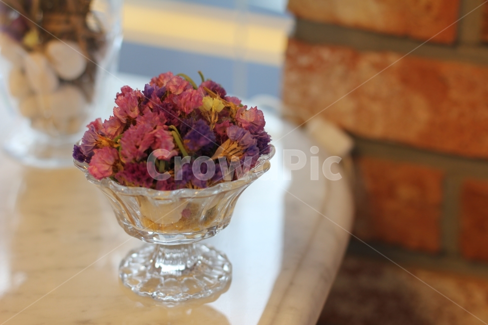 꽃,백합,힐링사진,말린꽃,감성사진,감성,힐링,식물,꽃,flower,인테리어,실내디자인,interior design