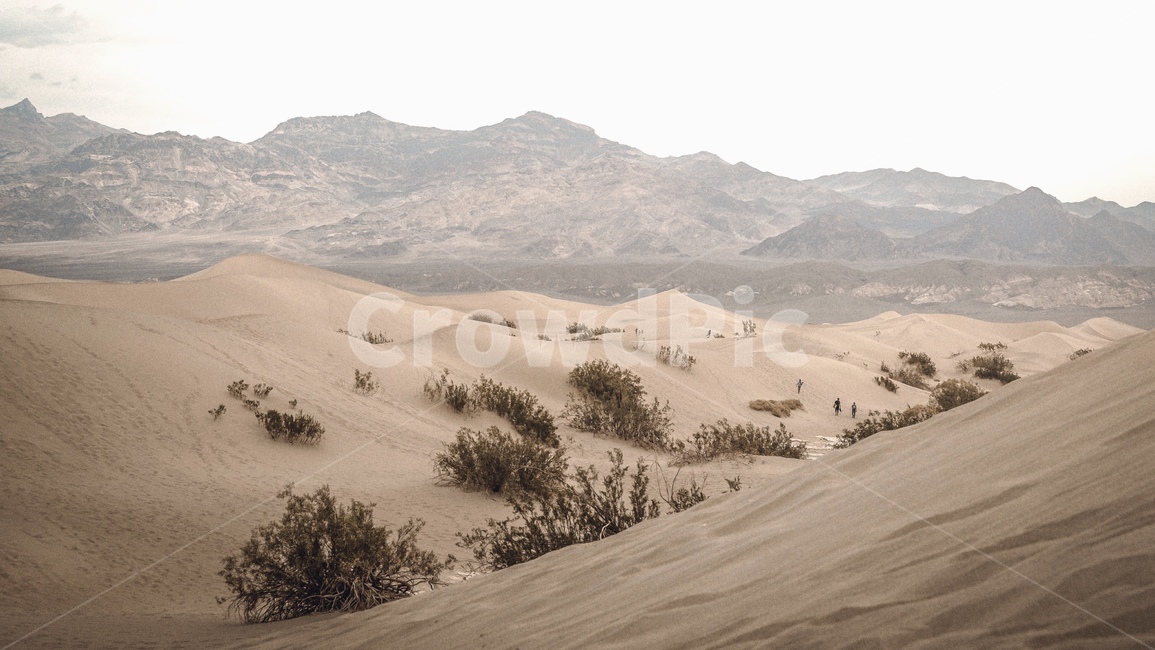 데스밸리,사막,미국,캘리포니아,deathvalley,sandddune,america,california,desert,soil,흙,sand,모래,outdoors,옥외,모래언덕,dune,자연,nature,자연,풍경,nature,landscape,해외,외국,세계,foreign,oversea,world,세계자연풍경,해외자연풍경,외국자연풍경,world nature landscape