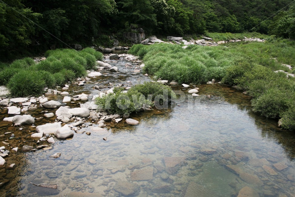 화양천,달천지류,남한강수계,자연형하천,화양계곡상류,자연,풍경,nature,landscape,water,물,outdoors,옥외,stream,흐름,creek,작은 만