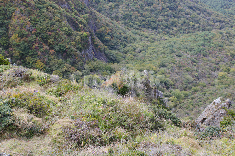 제주도,한라산,산,제주,숲,하늘,자연,풍경,오름,제주도의산,자연,풍경,nature,landscape,outdoors,옥외,slope,경사,mountain,wilderness,황야