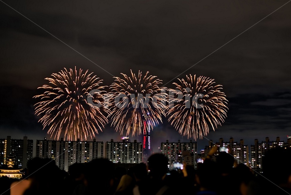 불꽃,불꽃축제,여의도불꽃축제,밤,이쁜불꽃,야경,야경,밤,풍경,nightscape,night,landscape,사람들,대중,군중,other people,crowd,축제,행사,festival,carnival,event,nature,자연,outdoors,옥외