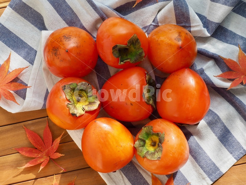 과일,홍시,음식,한국과일,가을과일,가을주황색,웰빙,배경,fruit,hongsi,food,koreanfruit,autumnfruit,autumnwellbeing,persimmon,background,ripepersimmon,가을,계절,fall,autumn,season,음식,식재료,요리,food,cook,meal,dishes,food reserves,과일,열매,fruit,plant,식물,감