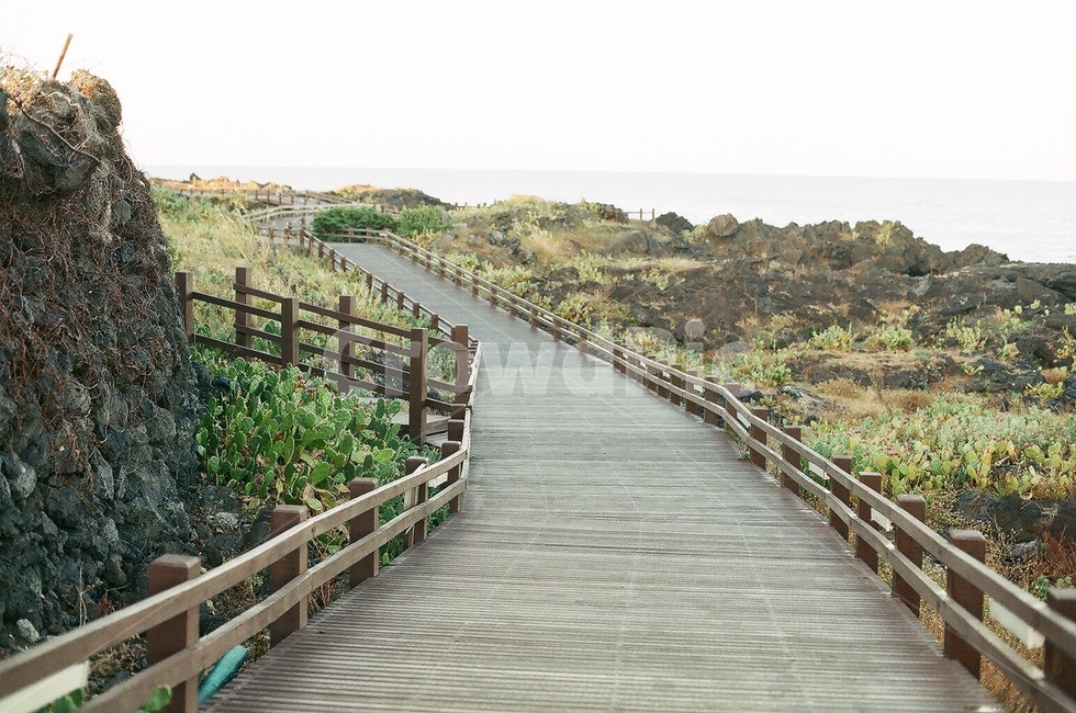 coast,promenade,road,Jeju road,sea road,bridge,Olle trail,boardwalk