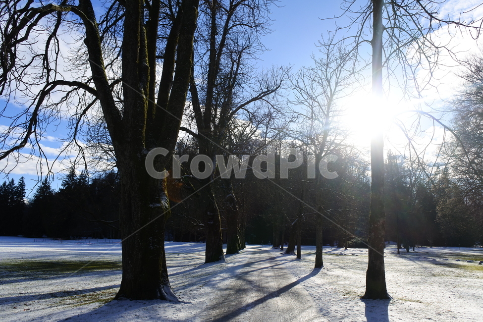 자연,공원,나무,길,오스트리아,잘츠부르크,salzburg,park,tree,trees,street,road,nature,sun,sunshine,sky,cloud,하늘,구름,빛,landscape,풍경