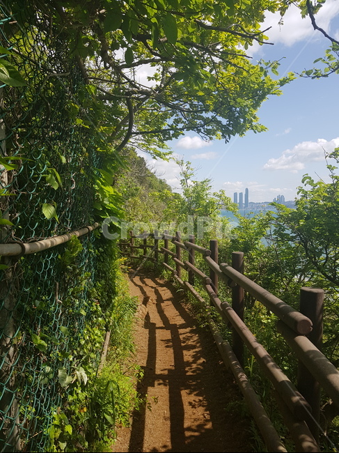 옥외,outdoors,garden,정원,arbour,정자