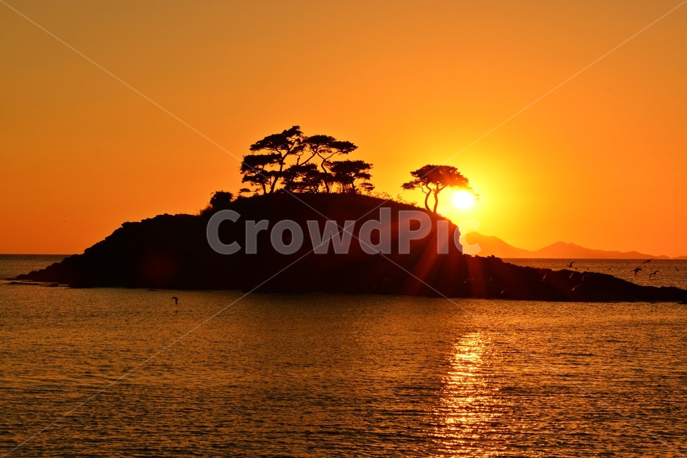 light,빛,flare,플레어,nature,자연,outdoors,옥외,water,물,shoreline,해안선,sea,바다,sunlight,햇빛,redsky,붉은하늘,sunset,일몰,dusk,황혼,sky,하늘,부안,솔섬,솔섬일몰,해넘이