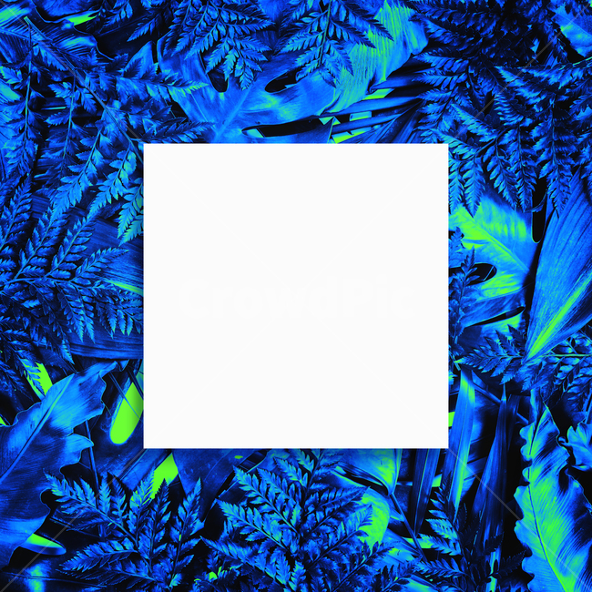prepare,natural,neon,Botanical Frame,Botanical,leaf,summer,tropical,background image,palm tree,Neon,reversal,background,plant,tropical plants,jungle,colorful,frame
