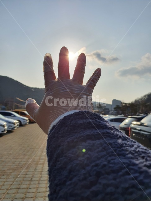 코로나,바이러스,위생,소독,햇빛