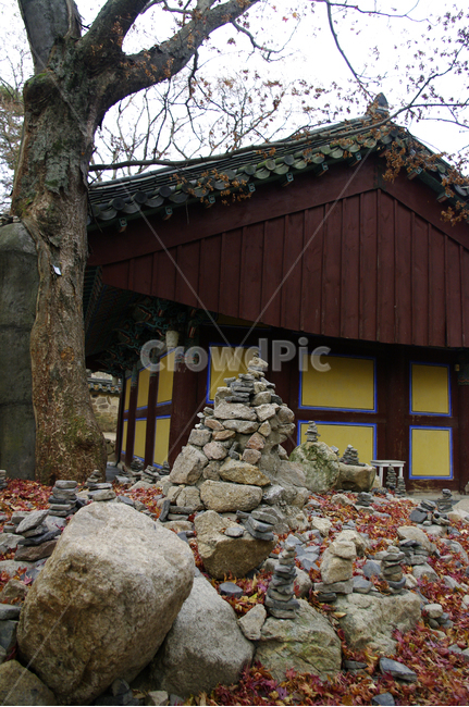 가을,fall,식물,plant,나무,기와지붕,낙엽,단풍,돌탑,지붕,traditional,전통,가을,계절,fall,autumn,season,한국전통,한국문화,korean traditional,korean culture,건축물,건물외관,exterior,building,structure,architecture,construction,rubble,파편,nature,자연