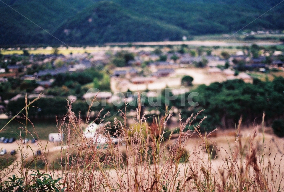 하회마을,시골,풍경,가을,필름사진,NikonEM,가을,계절,fall,autumn,season,식물,자연,plants,nature,감성,sensible,feeling,ground,바닥