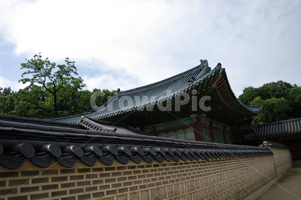 창덕궁,고궁,한옥,전통가옥,기와지붕,건축,traditional,담장,한국전통,한국문화,korean traditional,korean culture,랜드마크,landmark,tourist attraction,한국랜드마크,한국관광지,한국명소,korea landmark,korea tourist attraction,건축물,건물외관,exterior,building,structure,architecture,construction