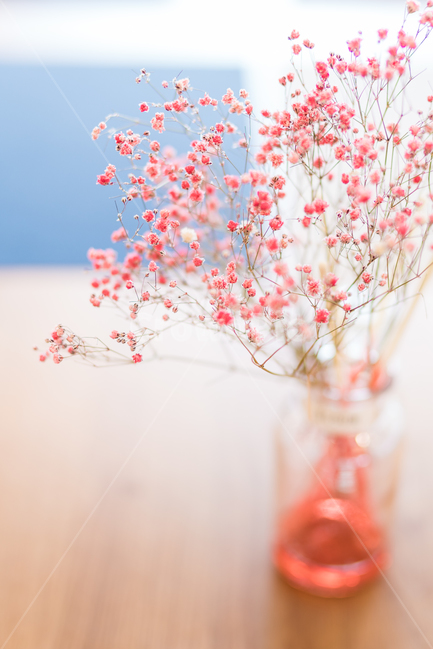 Gypsophila,ornament,pot,vase,dried flower,flower,interior