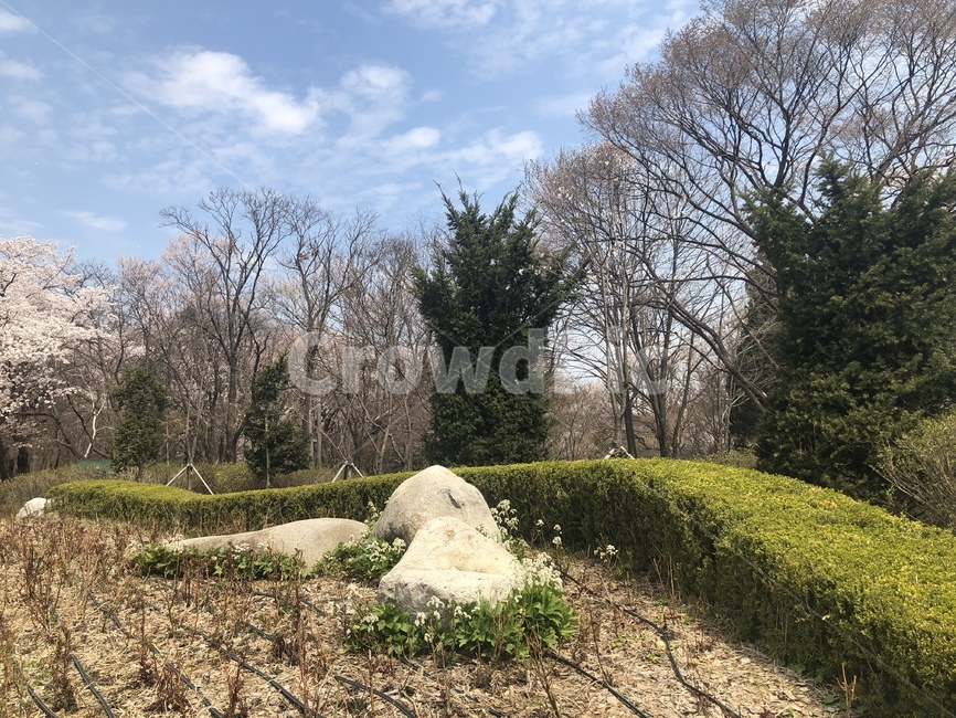 자연,풍경,봄,아침,산,둘레길