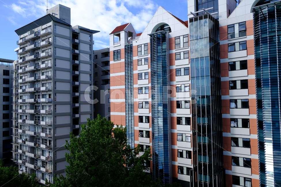 뉴질랜드,오클랜드,시내,도시,아파트