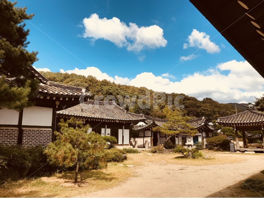 nature,자연,한옥,마당,한옥카페