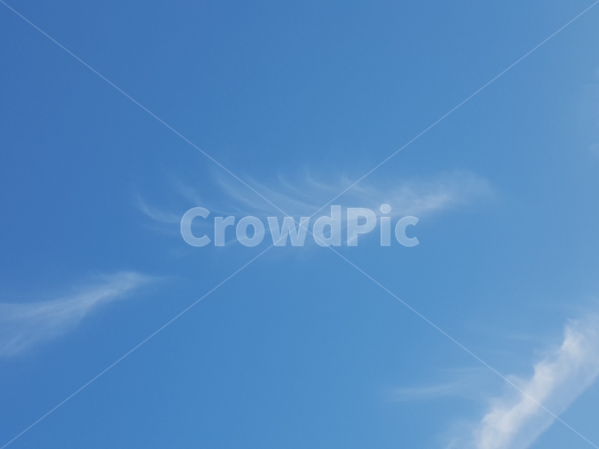 하늘,구름,깃털,파란하늘,나뭇잎,sky,cloud,blue,feather,leaf,emotional,nature,자연,풍경,nature,landscape,outdoors,옥외