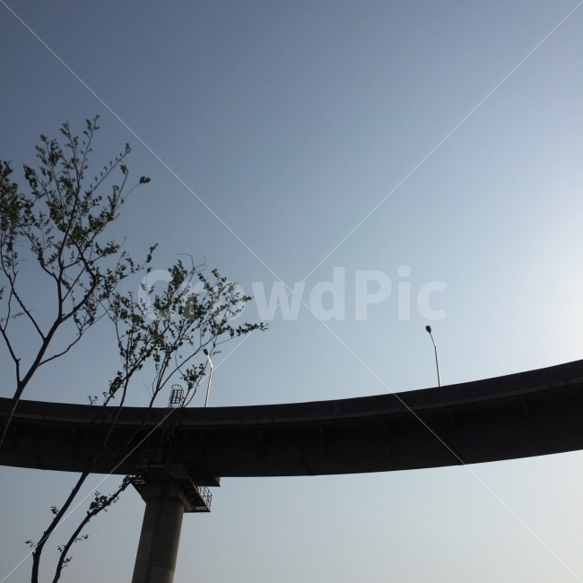 피크닉,하늘,나무,다리,풍경,고요함,평화로움,잔잔함,저녁,해질녘,노을,한강,sunset,hanriver,tree,peacefull,picnic,건축물,건물외관,exterior,building,structure,architecture,construction