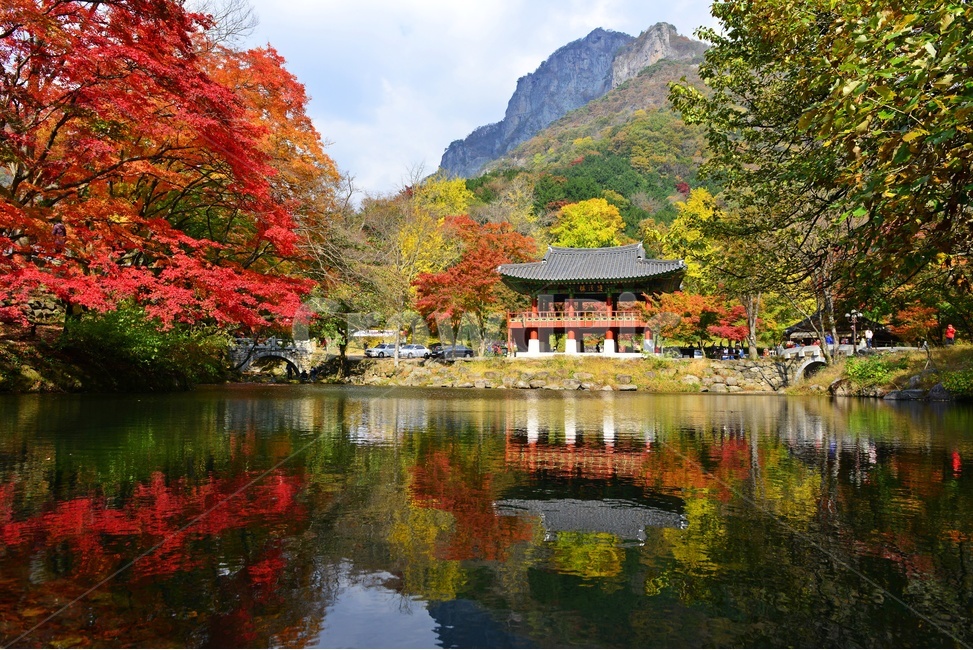 전남,장성,백양사,돌다리,연못,쌍계루,백암산,가을,반영,사람,빨강,녹색,tree,나무,plant,식물,maple,단풍,water,물,가을,계절,fall,autumn,season,nature,자연,outdoors,옥외