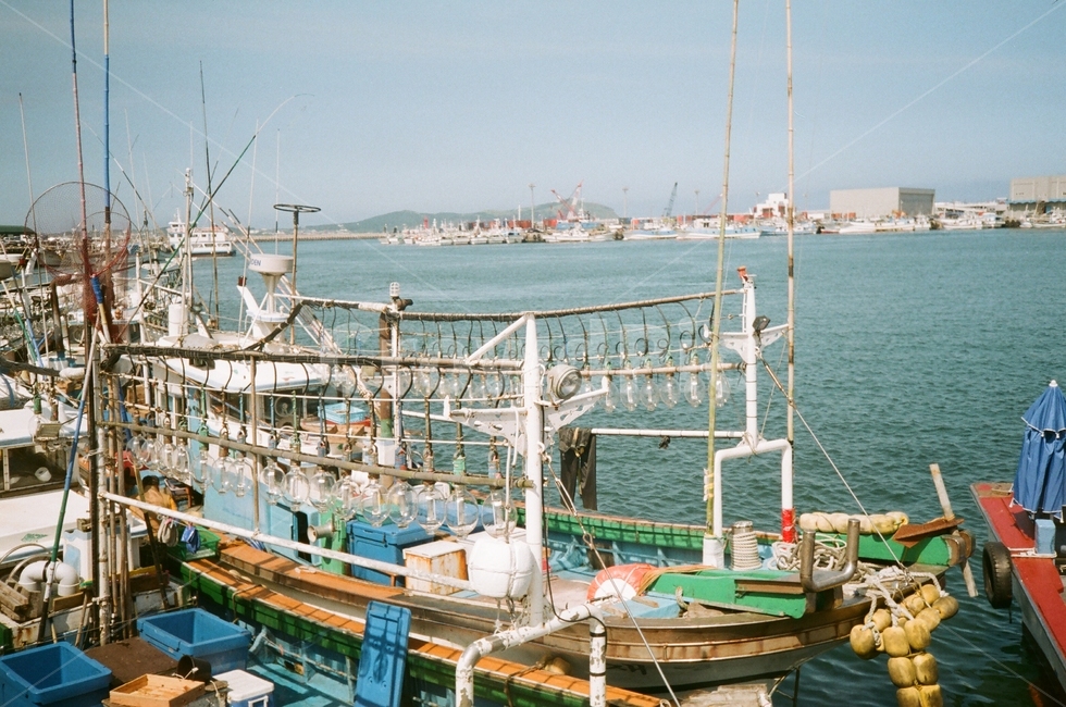 제주,필름카메라,필름,film,jeju,바다,배,korea,어업,fishery,fishing industry