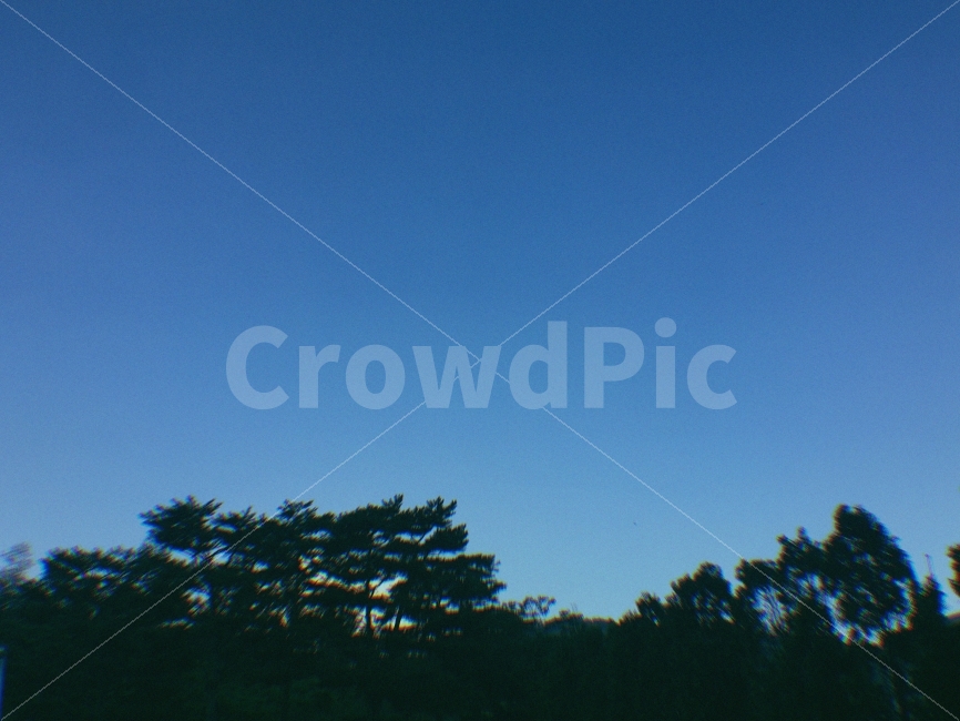 하늘,나무,풍경,자연,Sky,Blue,Natural,Tree,Summer,Spring,Filter,Picture,필터사진,필터,자연,풍경,nature,landscape,outdoors,옥외