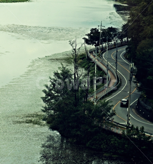 강가풍경,풍경,팔당댐,감성,나무,도로,커브,풍경사진,자연,풍경,nature,landscape,한국자연풍경,한국자연경관,korea nature landscape,교통,교통수단,traffic,transportation,road
