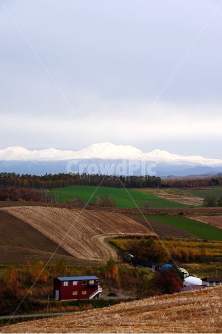 일본,홋카이도,비에이,가을,겨울,초원,눈,나무,자연,풍경,nature,landscape,시골,마을,country,rural,town,해외,외국,세계,foreign,oversea,world,세계자연풍경,해외자연풍경,외국자연풍경,world nature landscape,outdoors,옥외,scenery