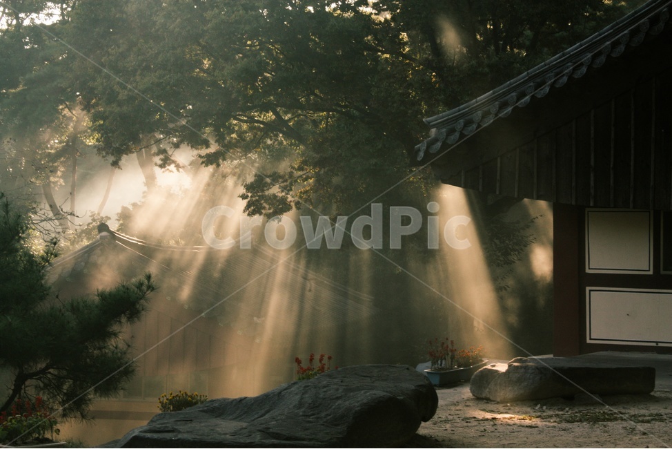 빛,빛내림,사찰,절,신내림,한국전통,한국문화,korean traditional,korean culture,휴식,힐링,rest,relaxation,healing