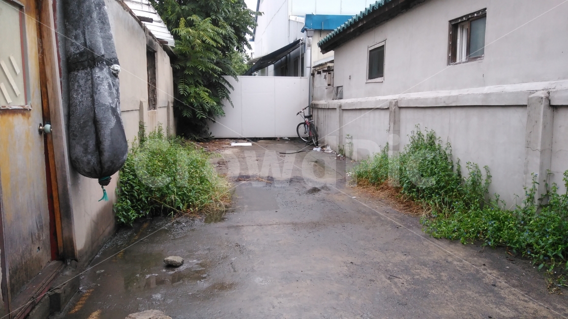 bicycle,reality,abandoned road,end,weed,catch,dead end,wandering,wall,fence