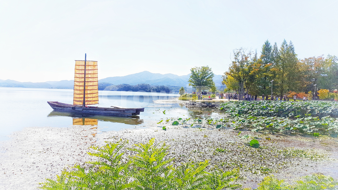 배,호수,나무,돛단배,강,연잎,하늘,그림같은,한국자연풍경,자연,풍경,river,sky,nature,강변,산,물,boat,계절,korean,kloreanculture,초록,녹색,여름,옛날,교통수단,자연,풍경,nature,landscape,한국자연풍경,한국자연경관,korea nature landscape,watercraft,선박,vehicle,차량,transportation,교통